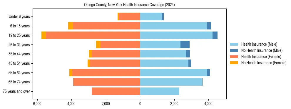 Health insurance pyramid for Otsego County, New York