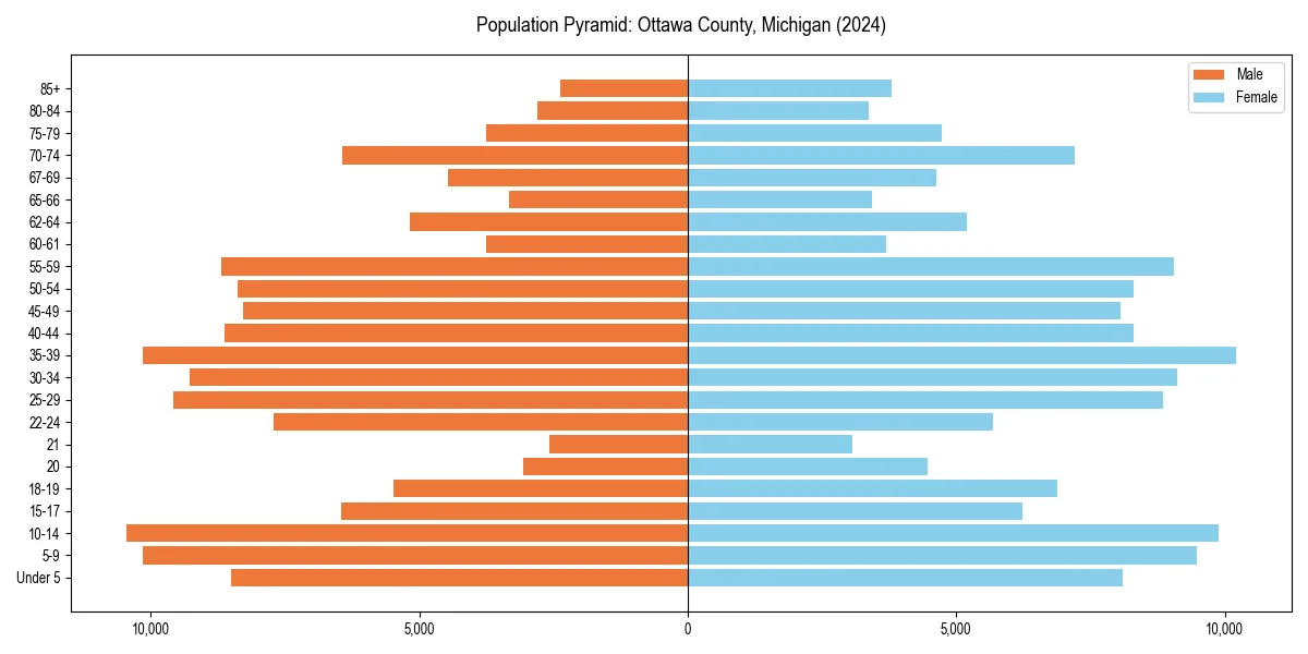 Population pyramid for 