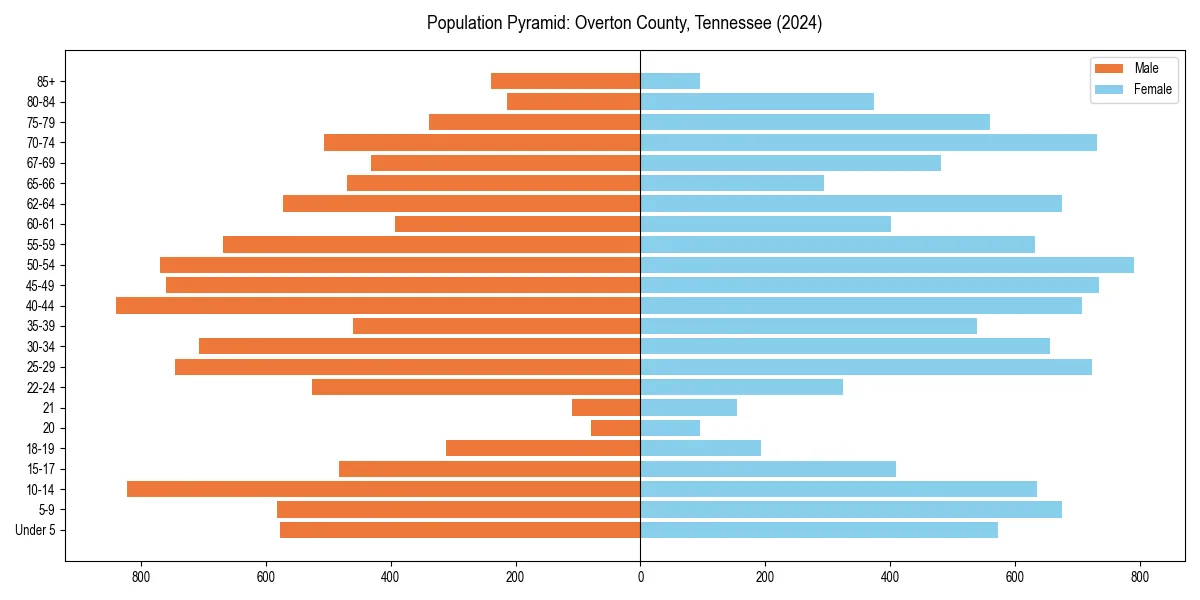 Population pyramid for 