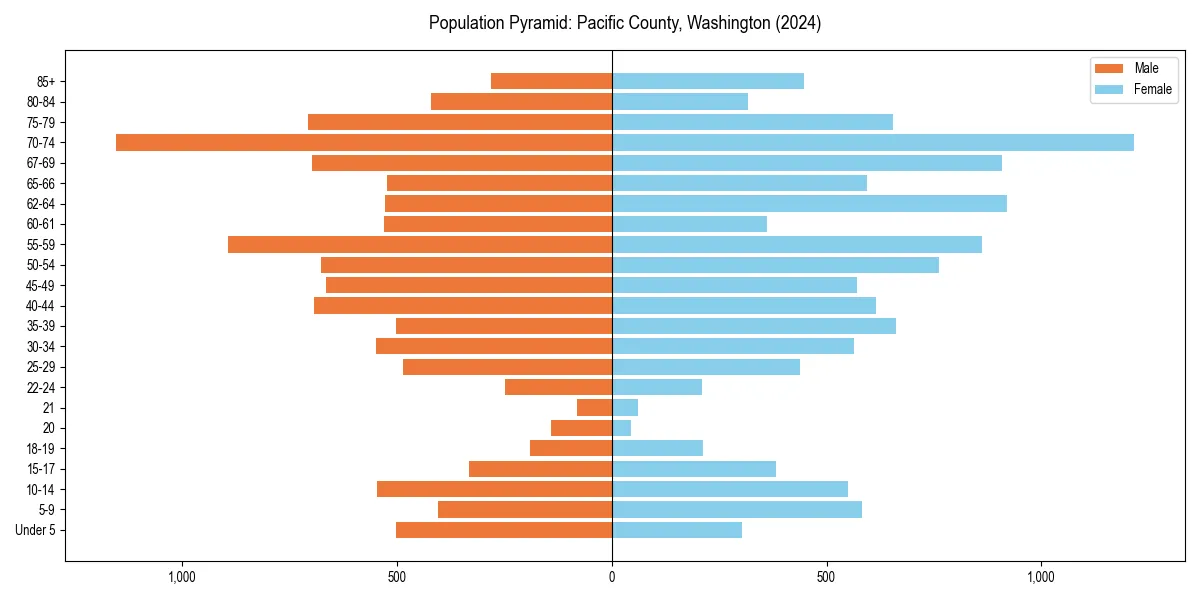 Population pyramid for 