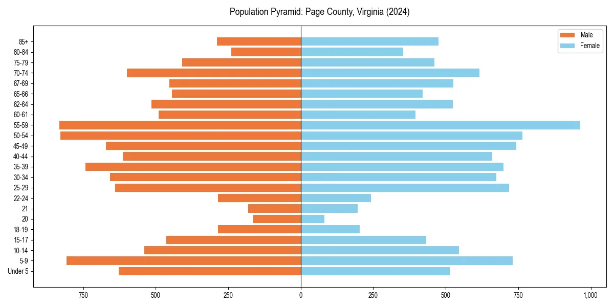 Population pyramid for 