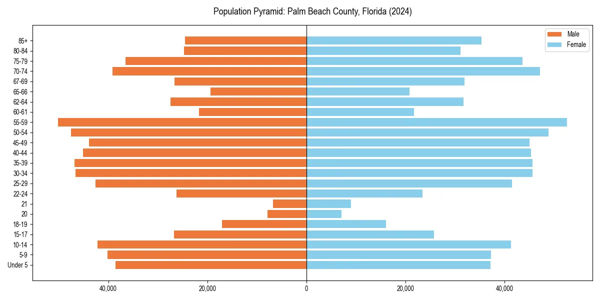 Population pyramid for 