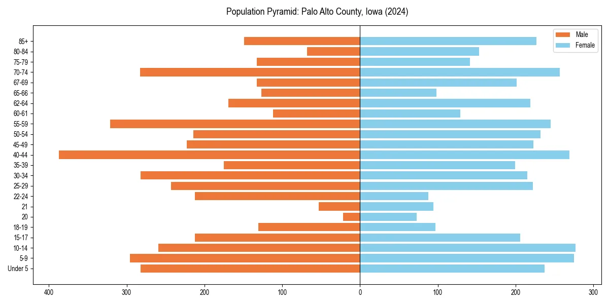 Population pyramid for 