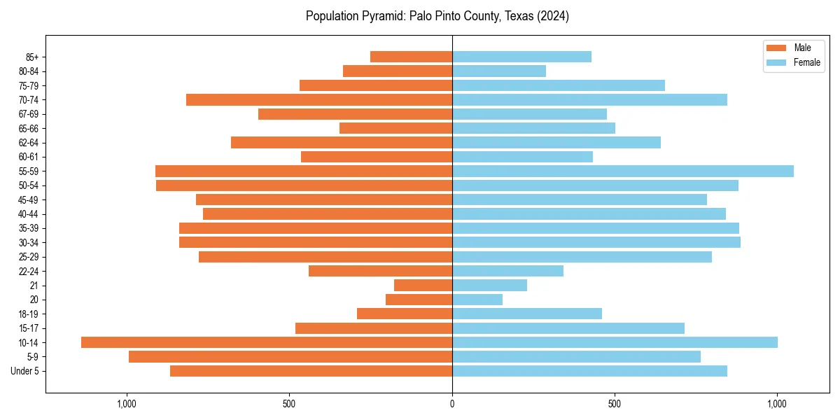 Population pyramid for 