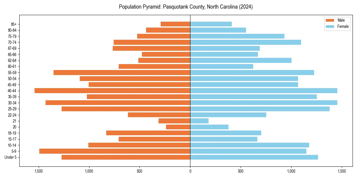 Population pyramid for 