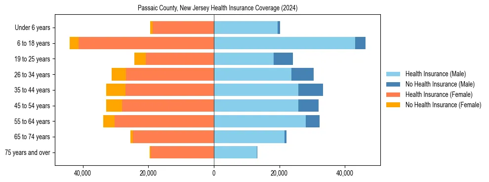 Health insurance pyramid for Passaic County, New Jersey