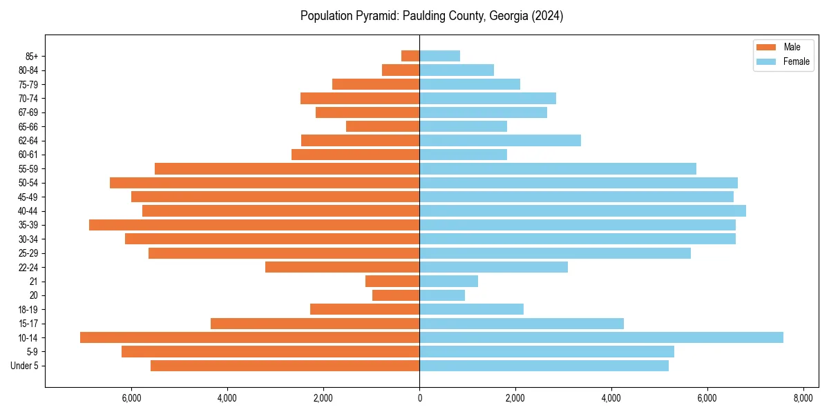Population pyramid for 