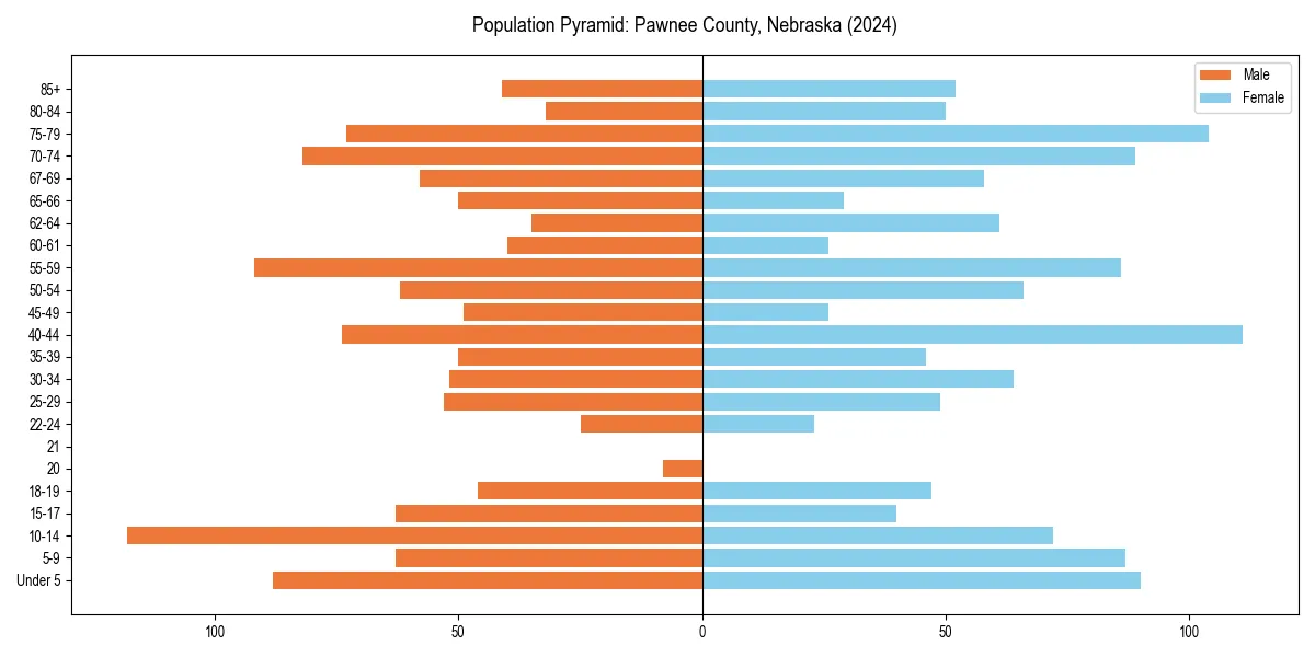 Population pyramid for 