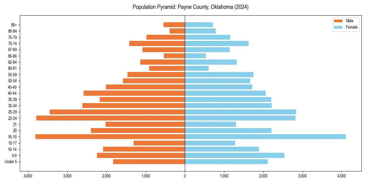 Population pyramid for 