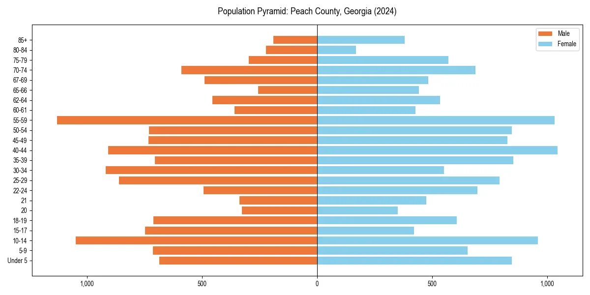 Population pyramid for 