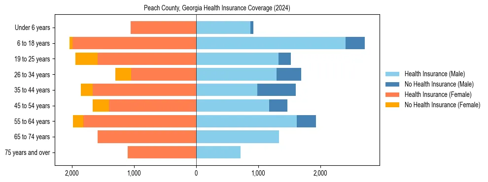 Health insurance pyramid for Peach County, Georgia