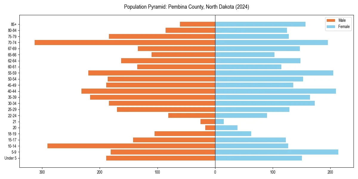 Population pyramid for 