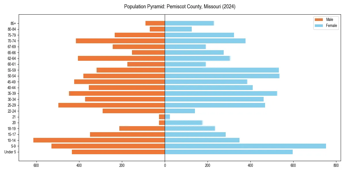 Population pyramid for 