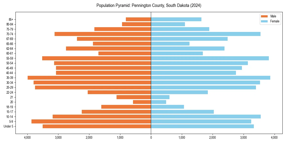 Population pyramid for 