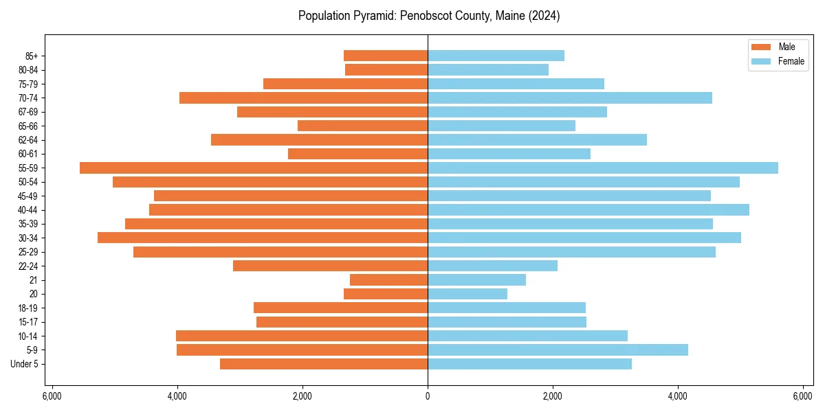 Population pyramid for 