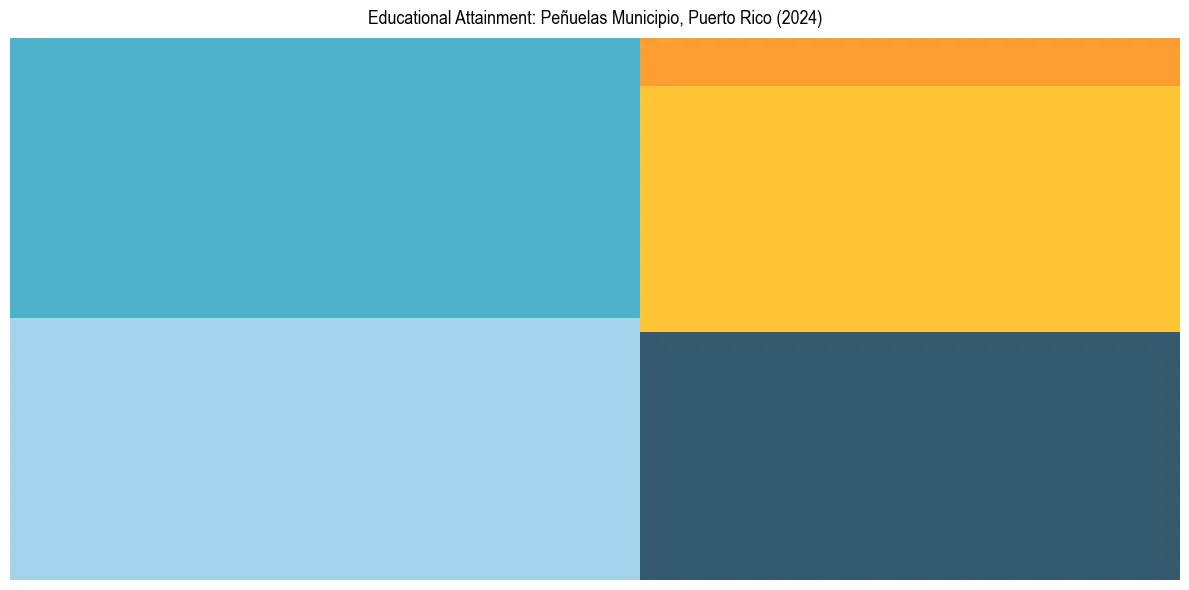 Education Treemap for  in 2024