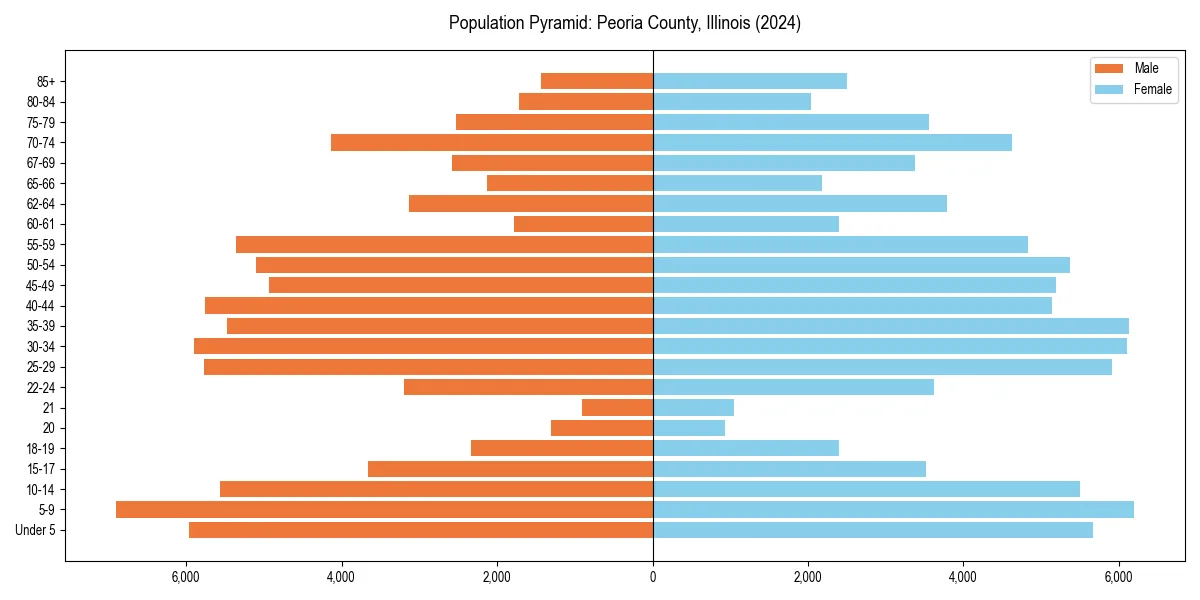 Population pyramid for 