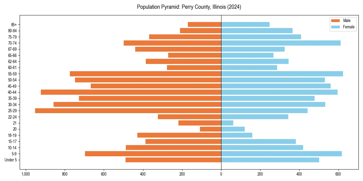 Population pyramid for 