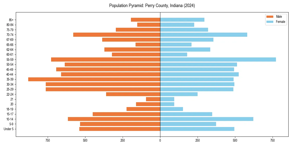 Population pyramid for 