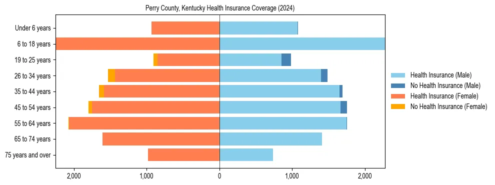 Health insurance pyramid for Perry County, Kentucky