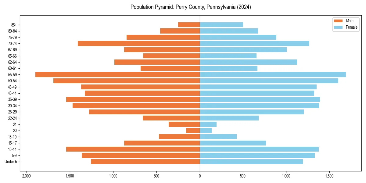 Population pyramid for 