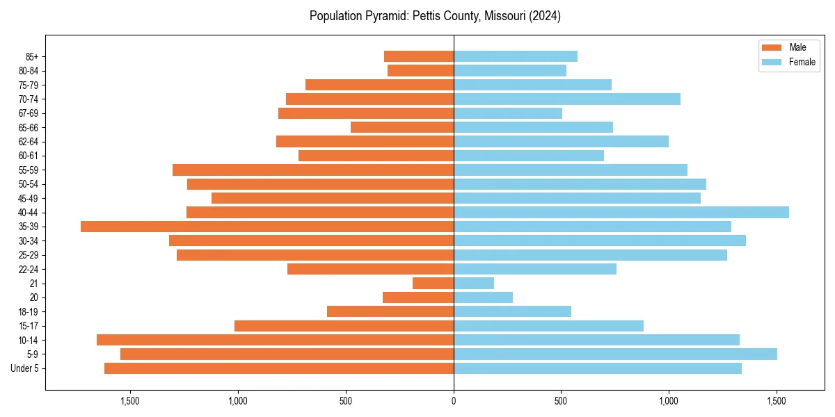 Population pyramid for 