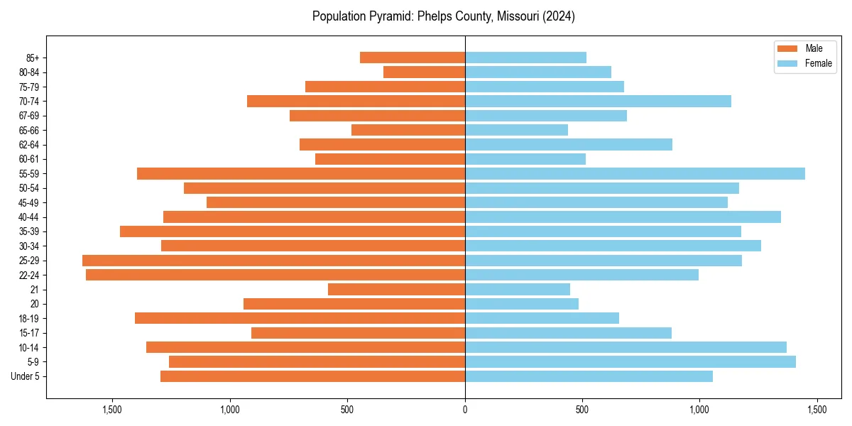 Population pyramid for 