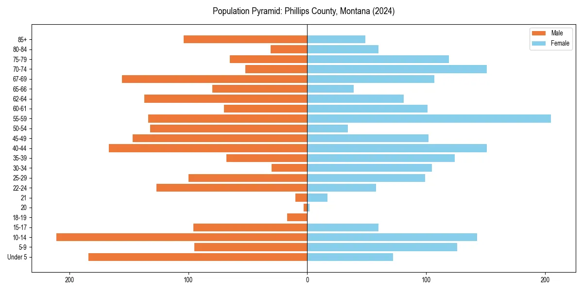 Population pyramid for 