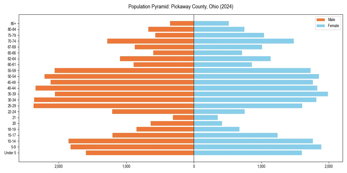 Population pyramid for 