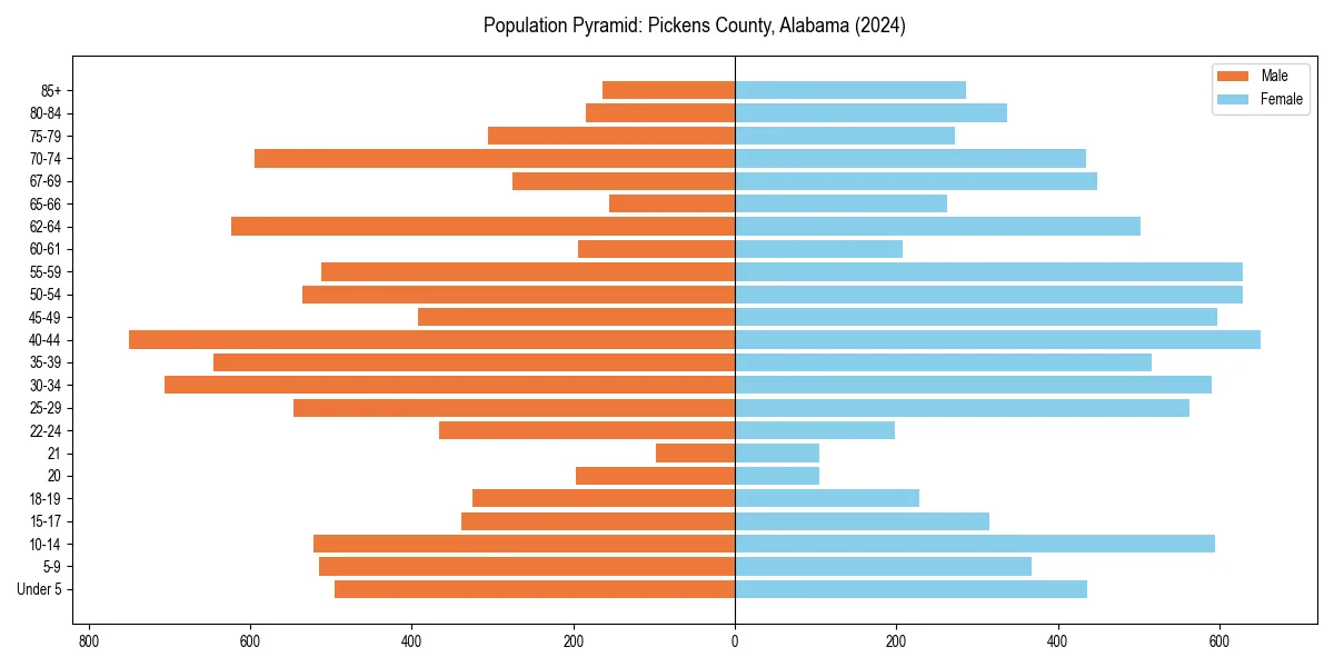 Population pyramid for 