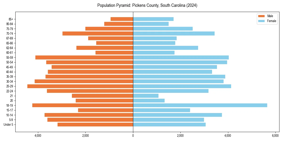 Population pyramid for 