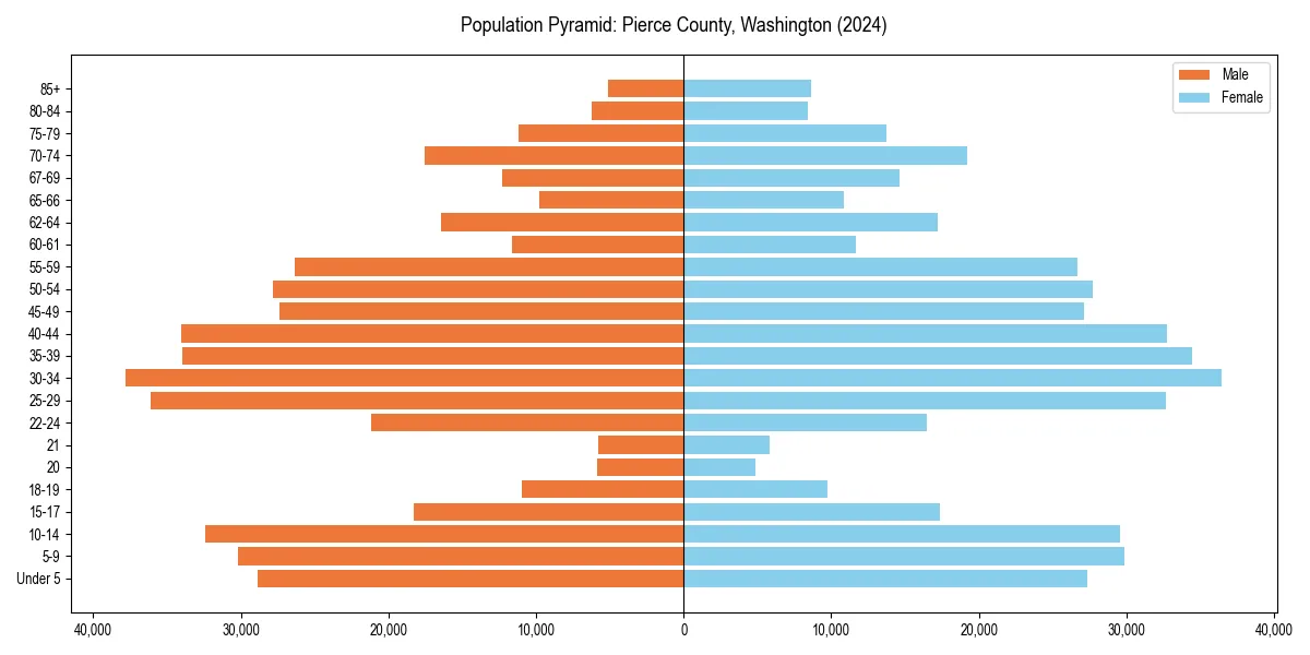 Population pyramid for 