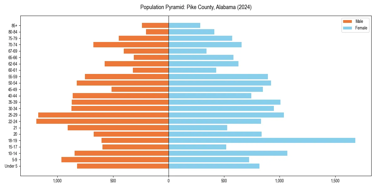 Population pyramid for 