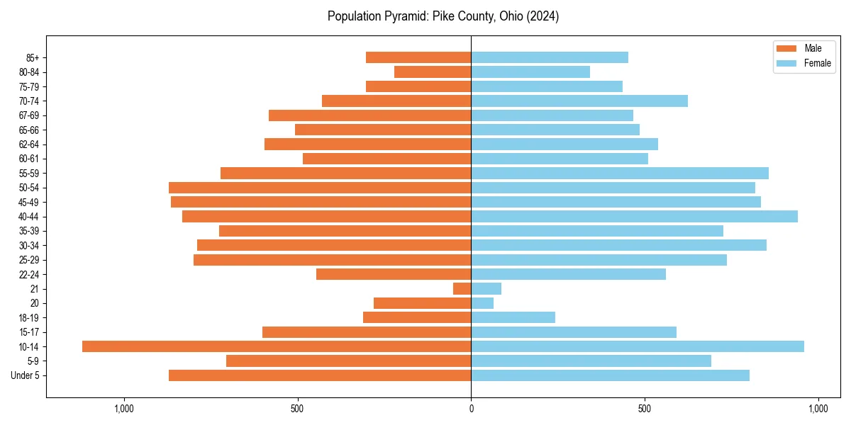 Population pyramid for 