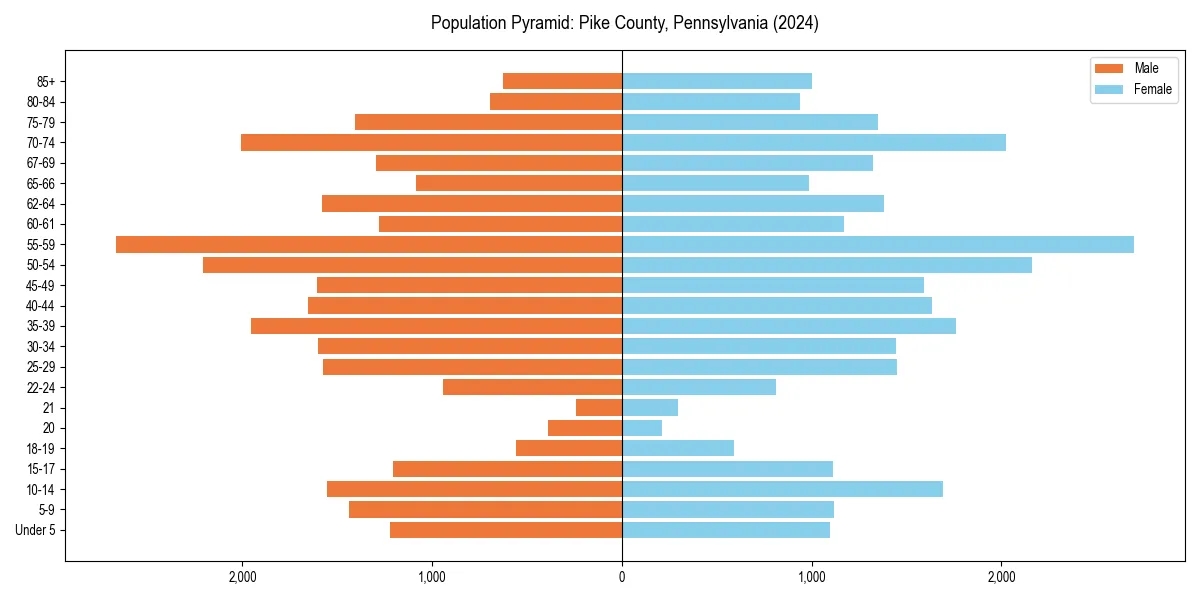Population pyramid for 