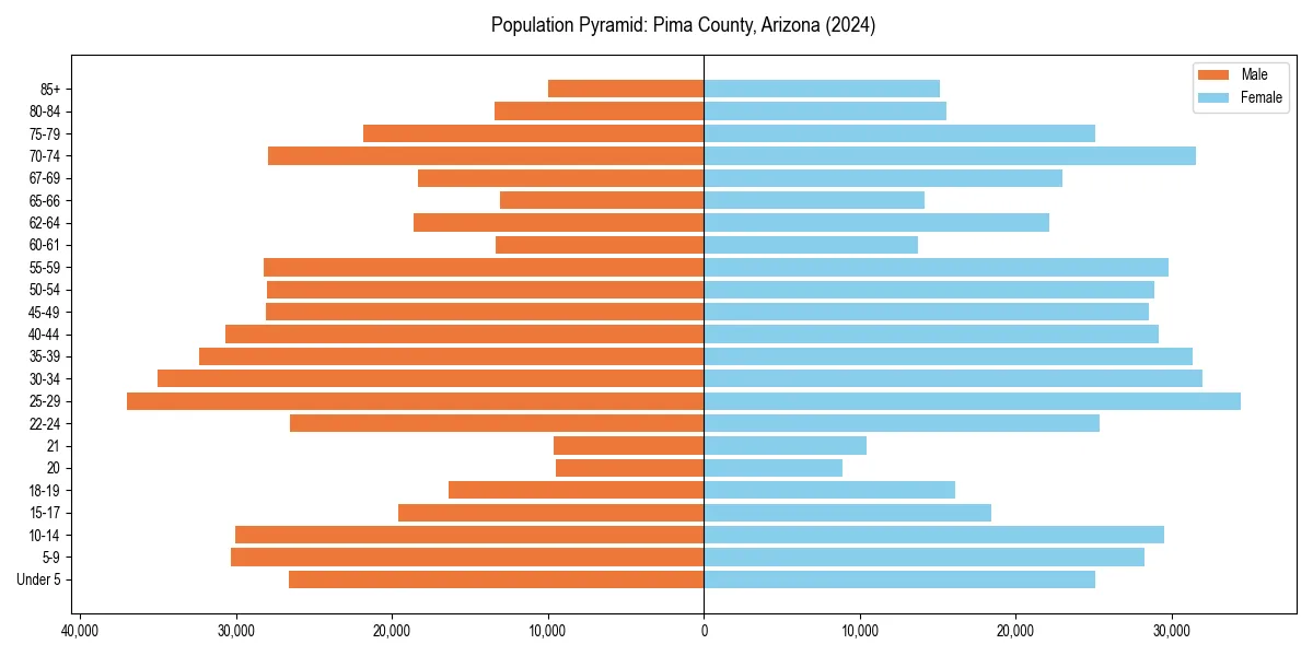 Population pyramid for 