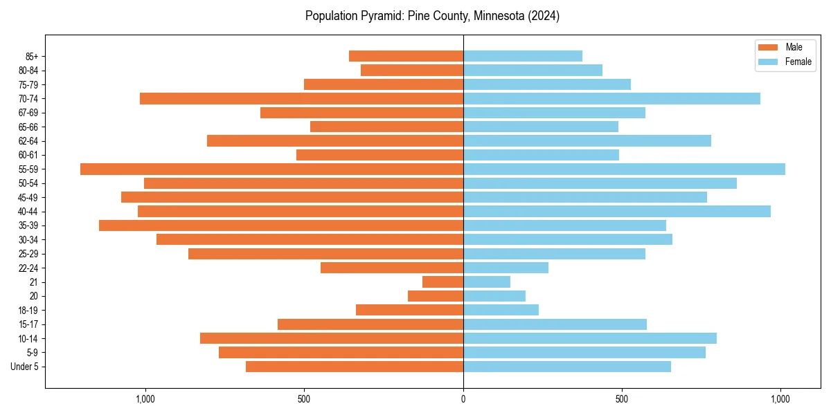 Population pyramid for 