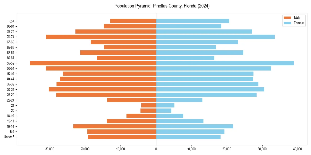 Population pyramid for 