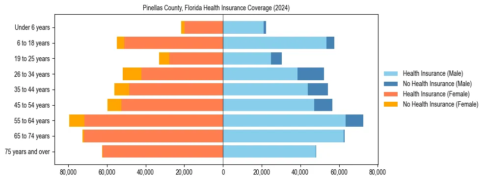 Health insurance pyramid for Pinellas County, Florida