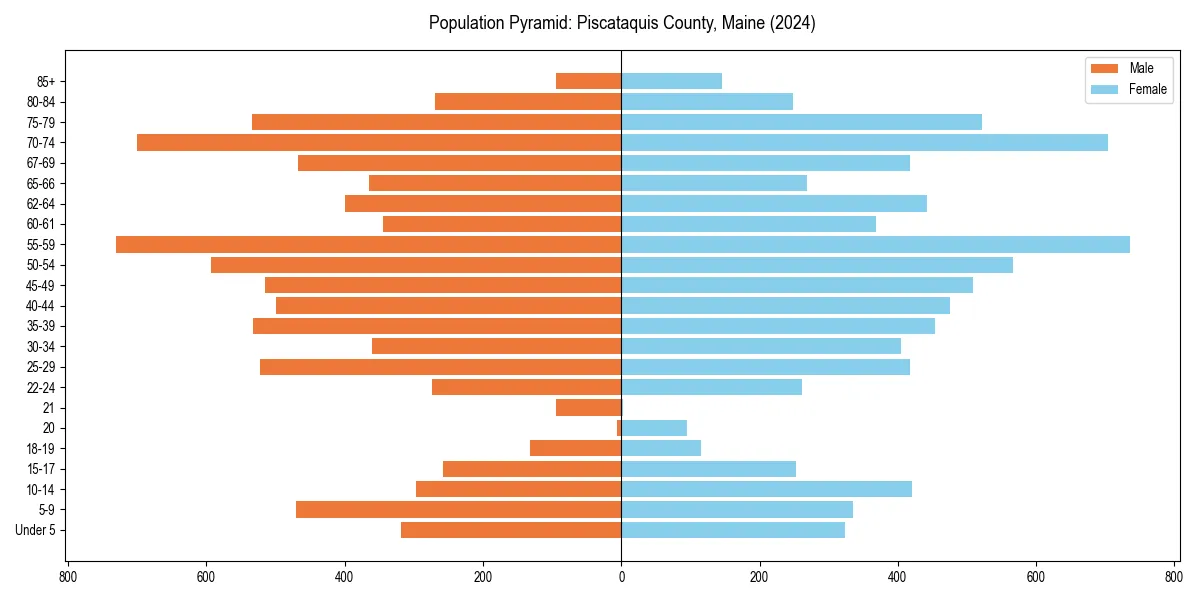 Population pyramid for 