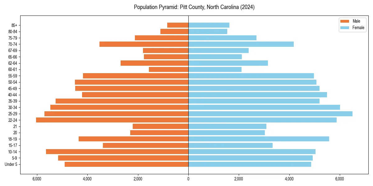 Population pyramid for 