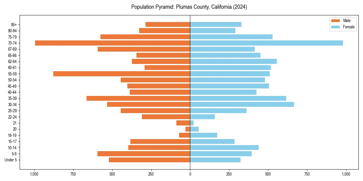 Population pyramid for 