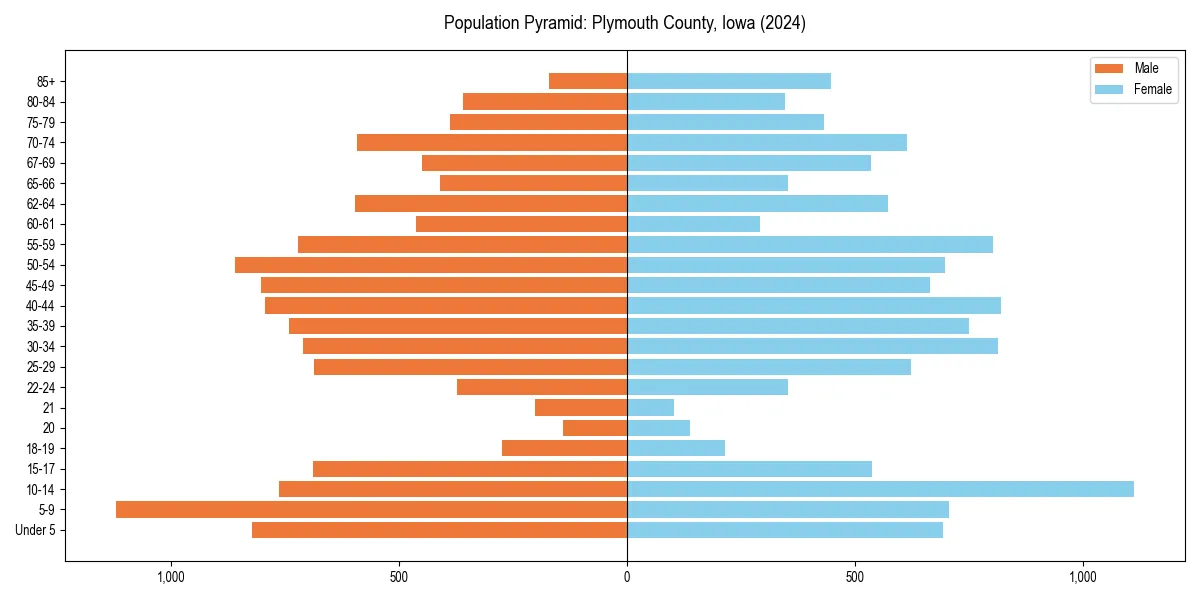 Population pyramid for 