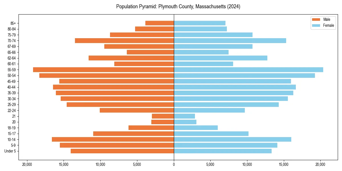 Population pyramid for 