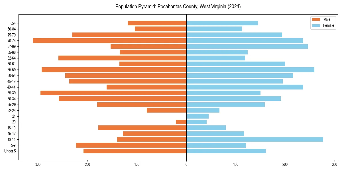 Population pyramid for 