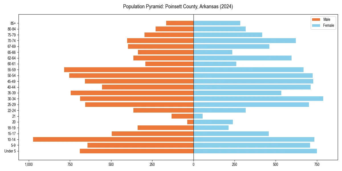 Population pyramid for 