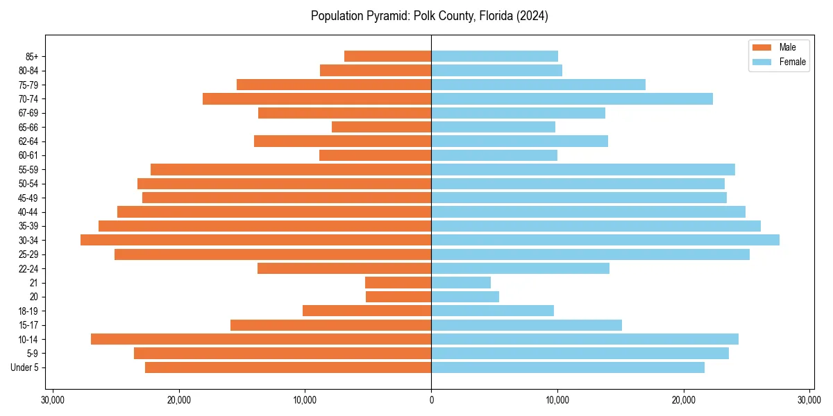 Population pyramid for 