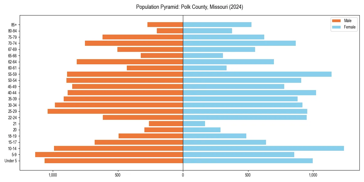 Population pyramid for 