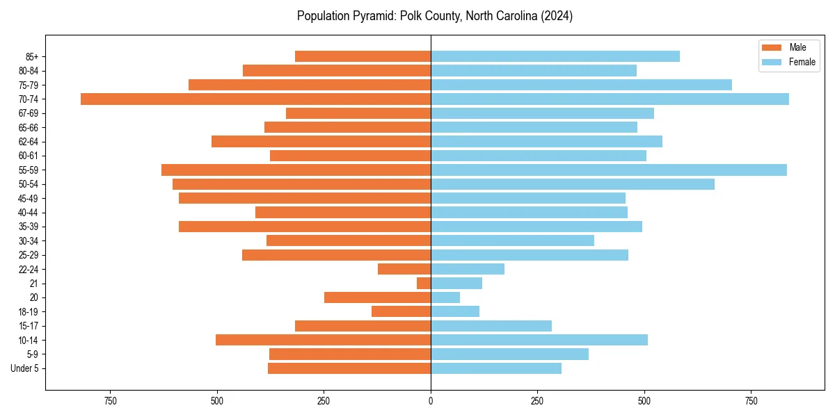 Population pyramid for 