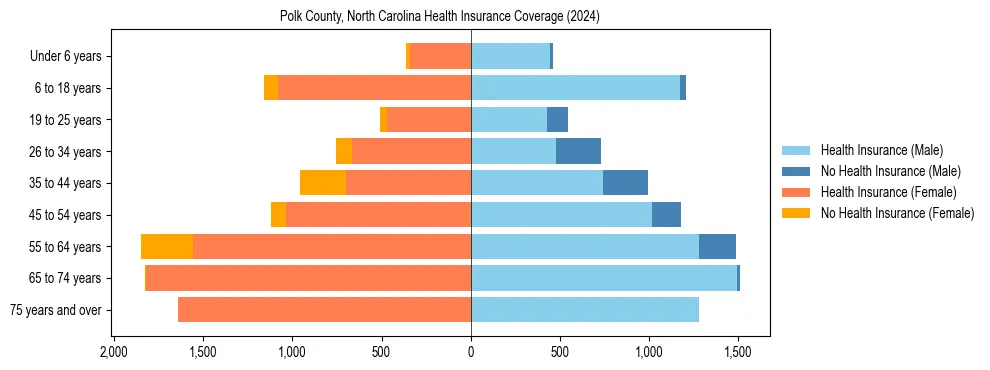 Health insurance pyramid for Polk County, North Carolina